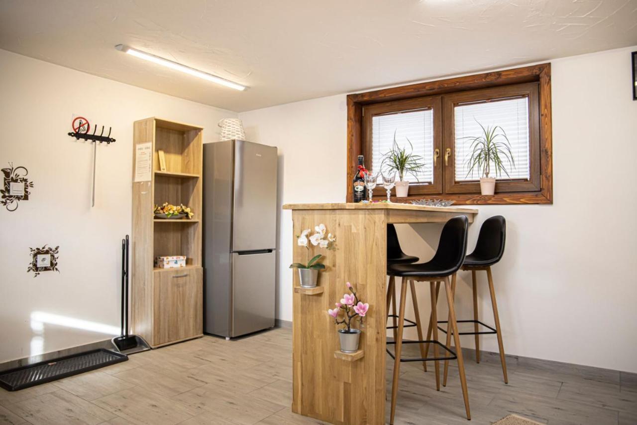 Olczanski Gosciniec Apartament Nr 1 ซาโกปาเน ภายนอก รูปภาพ